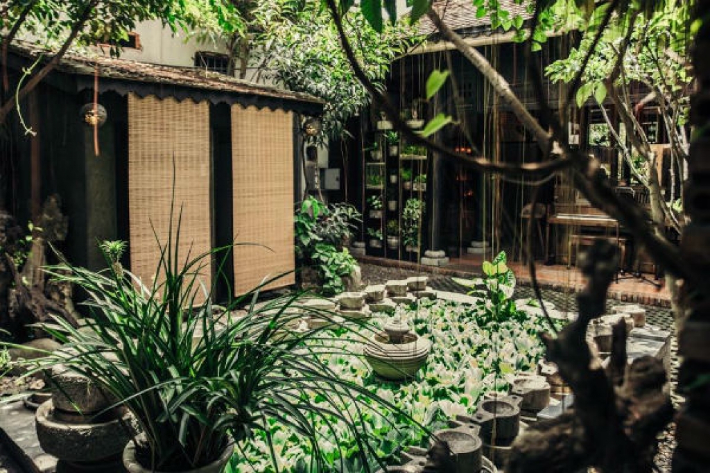 acoustic haven coffee co mot net hue o sai gon