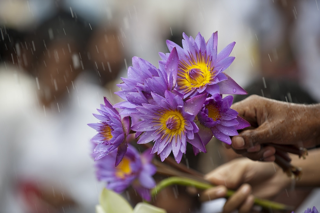 colombo nhung con duong ven bien