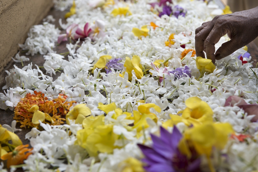 colombo nhung con duong ven bien