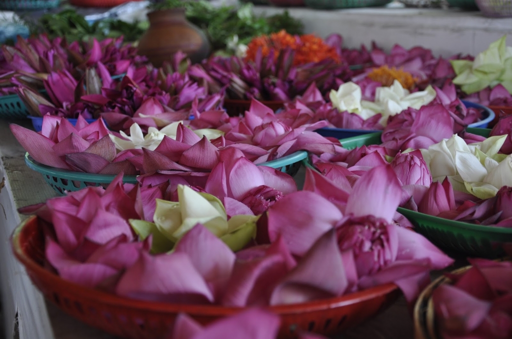 colombo nhung con duong ven bien