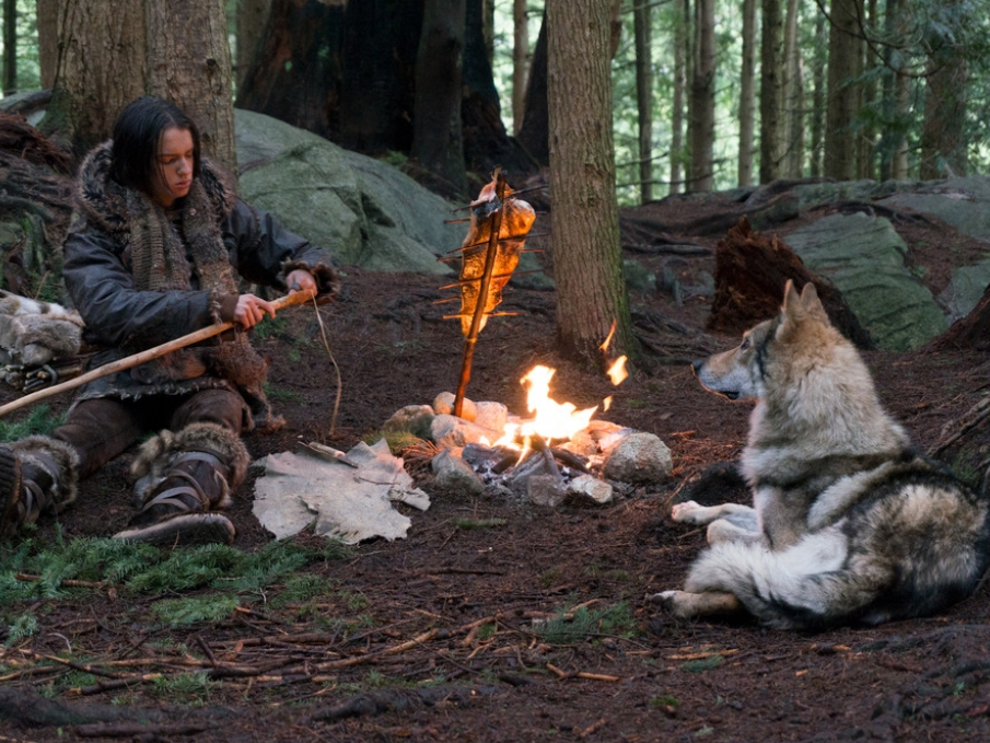 Kết quả hình ảnh cho Những lý do bạn phải xem Alpha nếu đang sở hữu một chú cún